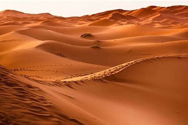 Sunset Dunes: Abu Dhabi Evening Desert Safari Adventure photo 5