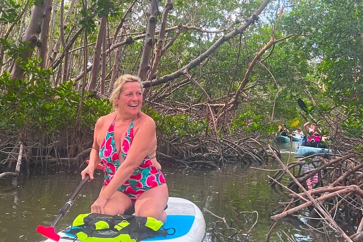 Big Hickory Island SUP EcoTour: Self-Guided Paddleboard Rental in Bonita Springs