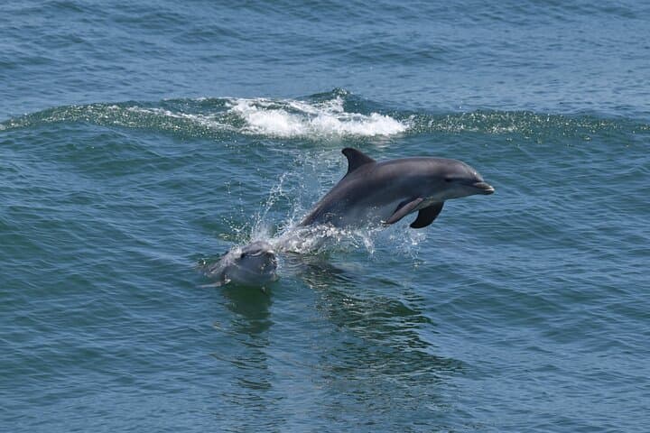 Eco Tour in Bowers Beach, Delaware