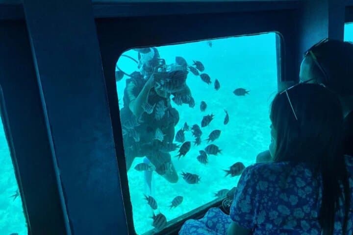 Seascope Submarine Hurghada: Red Sea Semi-Submarine and Snorkel Excursion photo 4