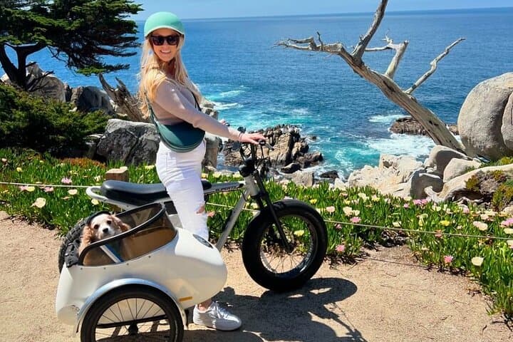 Dog-Friendly Carmel Electric Bike & Sidecar Coastal Ride