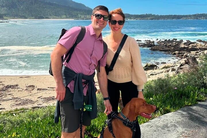 Dog-Friendly Carmel Electric Bike & Sidecar Coastal Ride photo 3