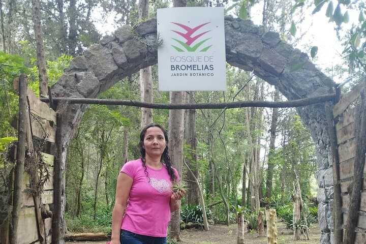 Bromeliads & Dry-Forest Trails: Guided Plant Walk Near Quito