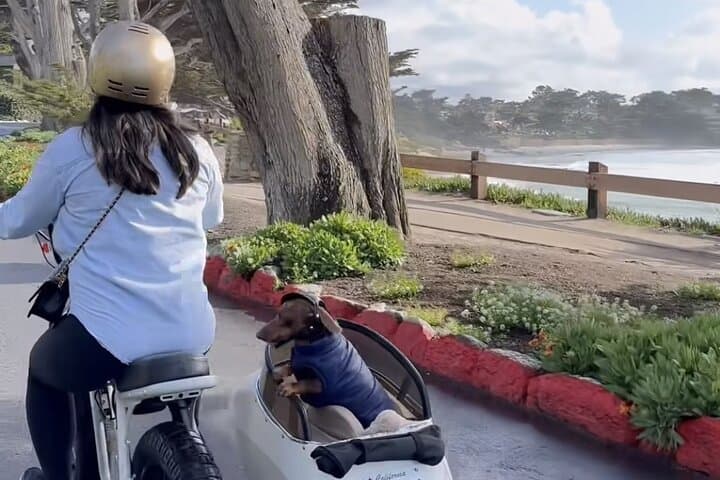 Dog-Friendly Carmel Electric Bike & Sidecar Coastal Ride photo 4