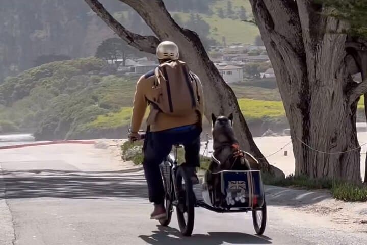 Dog-Friendly Carmel Electric Bike & Sidecar Coastal Ride photo 6