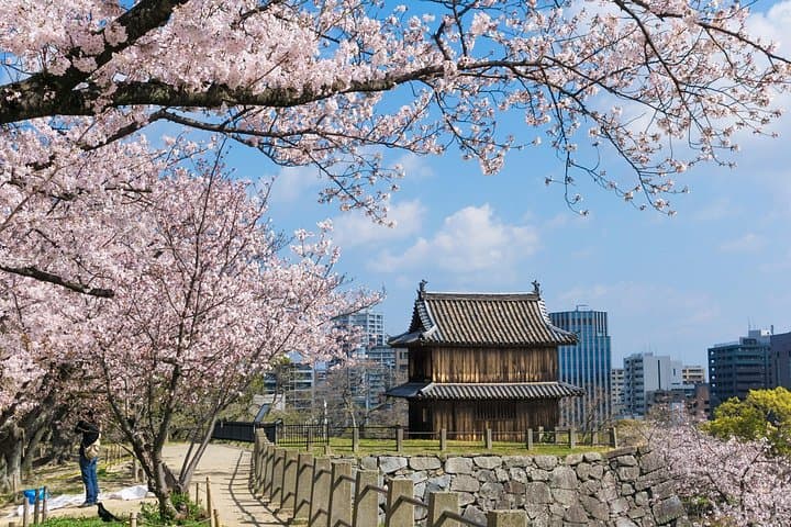 Custom Half-Day Fukuoka Private Tour — Tailor Your City Highlights