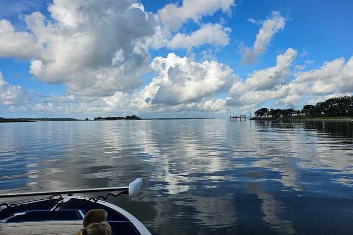 Hilton Head 1-Hour Private Dolphin and Nature Tour — Quick Coastal Cruise to See Bottlenose Dolphins photo 5