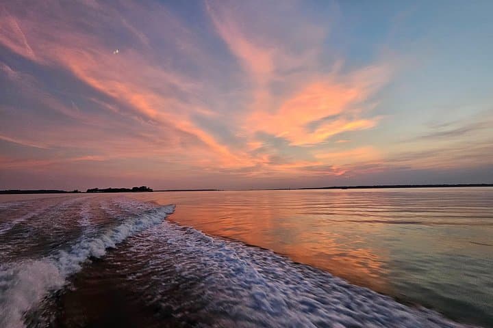 Hilton Head 1-Hour Private Dolphin and Nature Tour — Quick Coastal Cruise to See Bottlenose Dolphins photo 2
