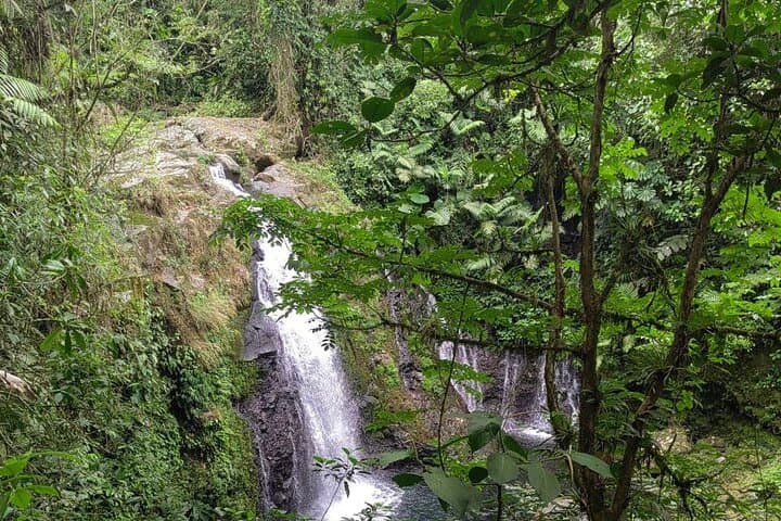Hidden Waterfalls and Jungle Yoga: Full-Day Tour from La Fortuna photo 5