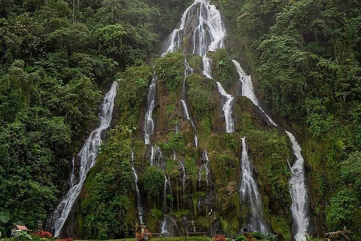 Santa Rosa de Cabal Coffee Farm & Hot Springs Day Tour — Coffee, Culture and Thermal Baths