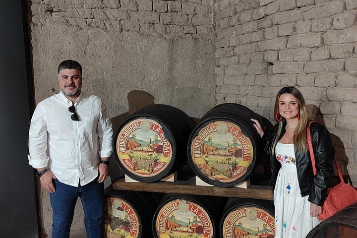 Half-Day Wine Tour of Luján de Cuyo: Tastings, Cellars & Andean Views photo 2