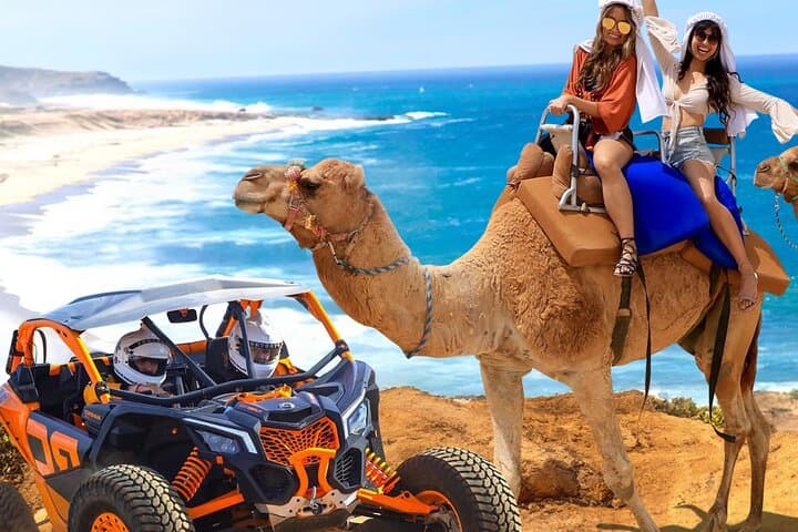 Migriño Camel Ride & UTV Combo — Camel Safari, Dune ATVs & Tequila Tasting in Cabo photo 2
