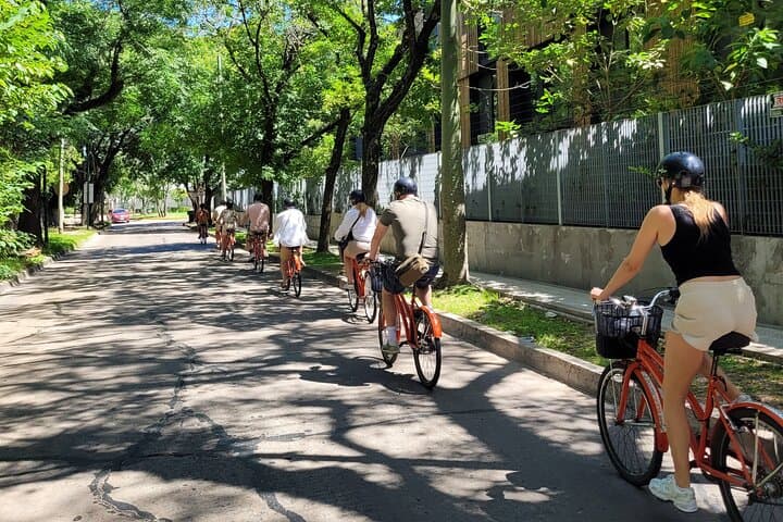 Bike and Boat Through the Tigre Delta: Day Tour from Buenos Aires photo 4