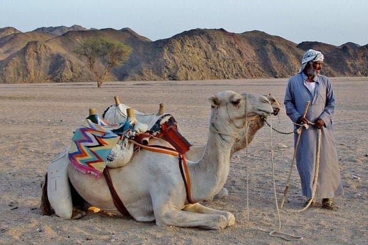 Super Moto Safari in Sharm El Sheikh: Dune Quad Adventure & Bedouin Camp photo 3