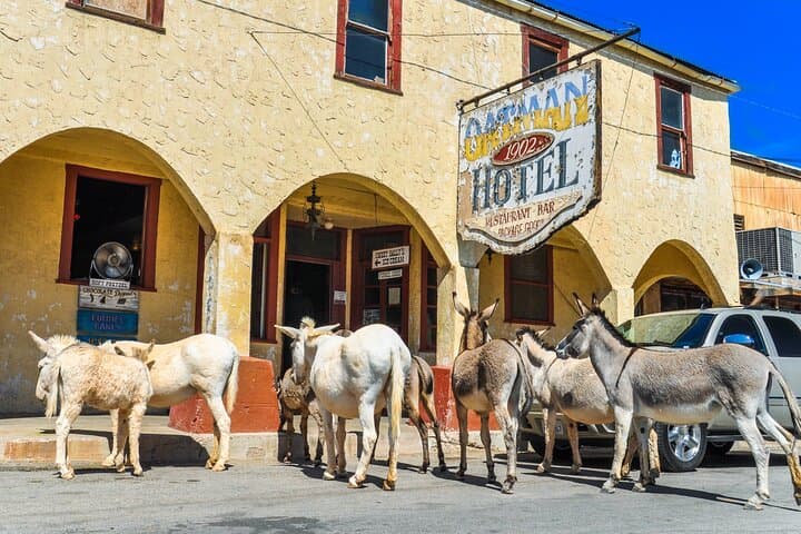 Route 66 to Oatman: Historic Mining Town & Wild Burros Day Trip from Laughlin photo 2