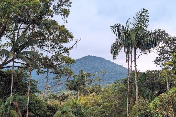 Hidden Waterfalls and Jungle Yoga: Full-Day Tour from La Fortuna photo 4