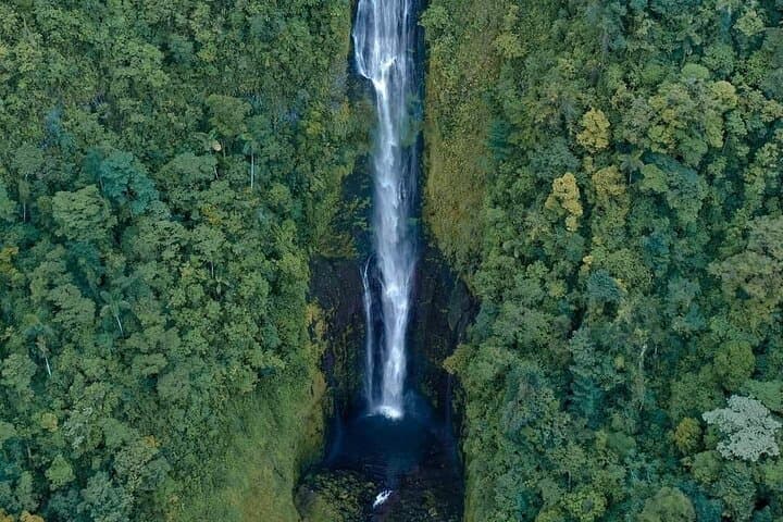 Hidden Waterfalls and Jungle Yoga: Full-Day Tour from La Fortuna photo 2