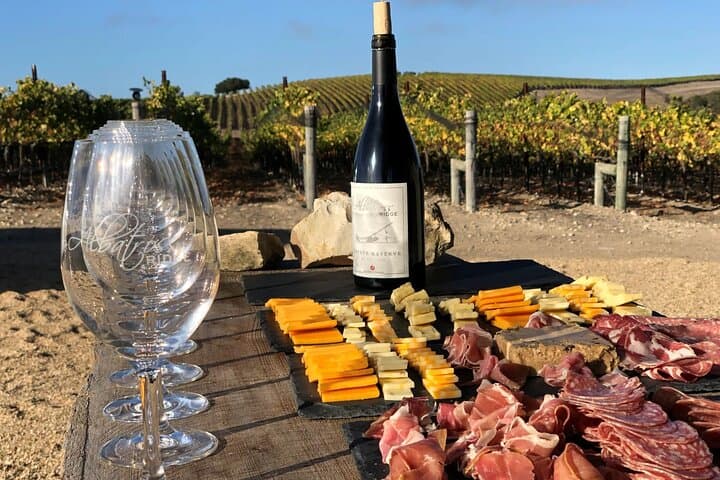 Albatross Ridge Electric Bike Tour & Wine Tasting in Carmel Valley photo 3