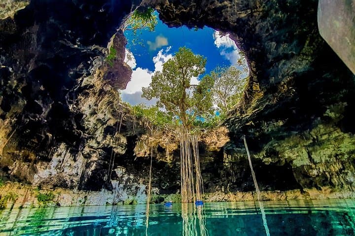 Cenotes of Santa Bárbara and Acanceh: Day Tour from Mérida