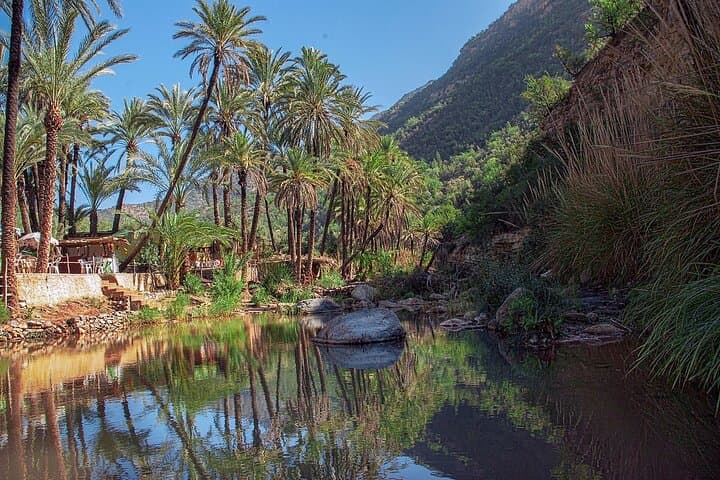 Half-Day Paradise Valley Tour from Agadir — Red Cliffs, Natural Pools & Argan Co-op Visit photo 3