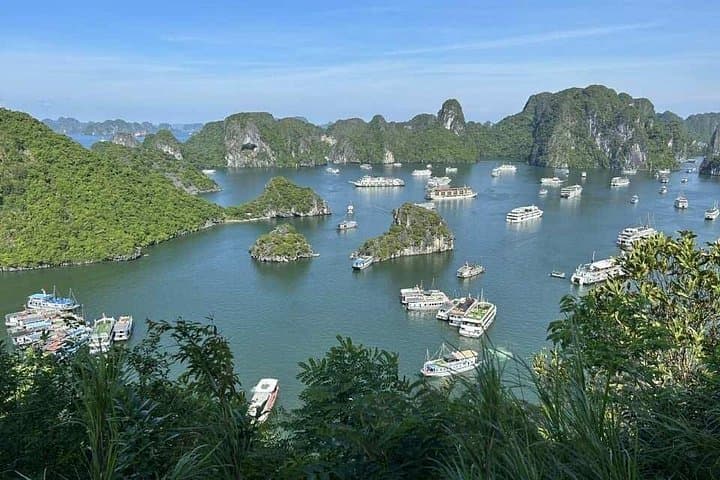 Hercules Cruise Ha Long Bay Day Tour: Sung Sot Cave, Ti Top & Kayaking photo 3