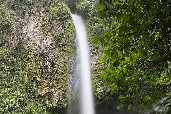 Arenal Combo: Hanging Bridges, La Fortuna Waterfall & Lava Trail Adventure photo 3