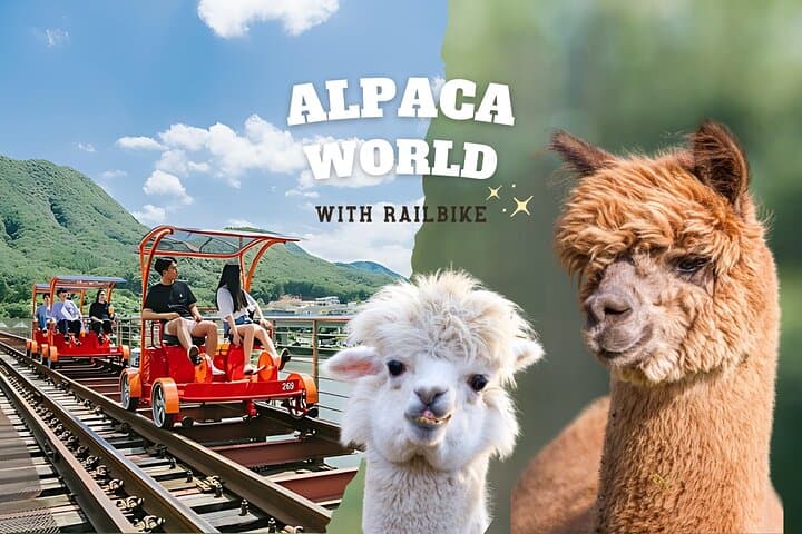 Alpaca World & Gangchon Rail Bike: Day Tour from Chuncheon Along the Bukhan River