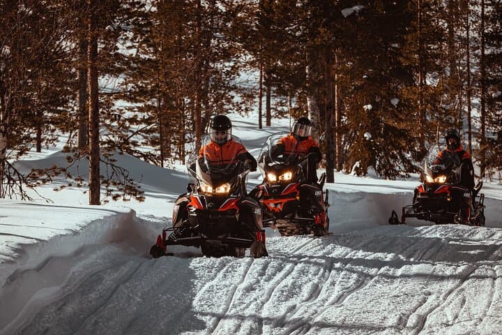Levi Snowmobile Safari — 2-Hour Guided Snowmobile Ride through Lapland’s Winter Wilds photo 4