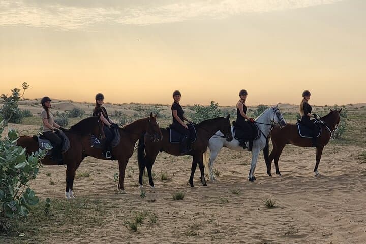 1-Hour Desert Horse Ride in Dubai on Authentic Arabian Horses