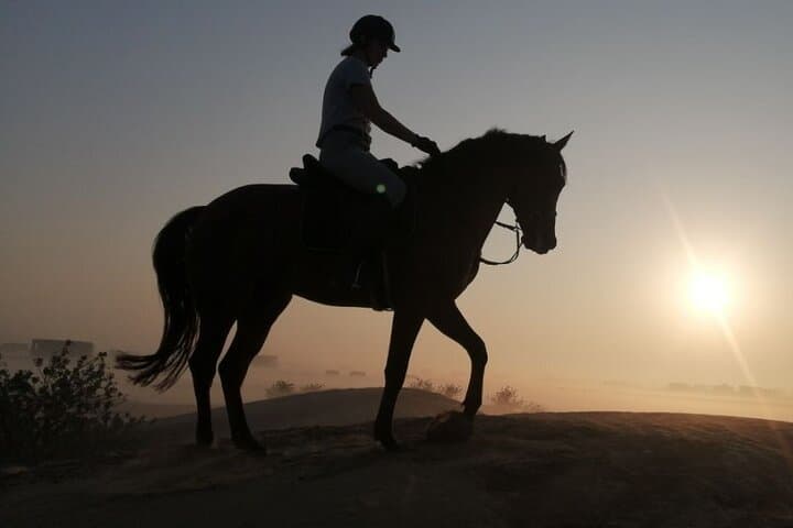 1-Hour Desert Horse Ride in Dubai on Authentic Arabian Horses photo 2