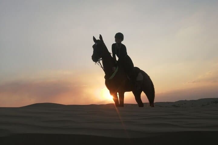 1-Hour Desert Horse Ride in Dubai on Authentic Arabian Horses photo 3