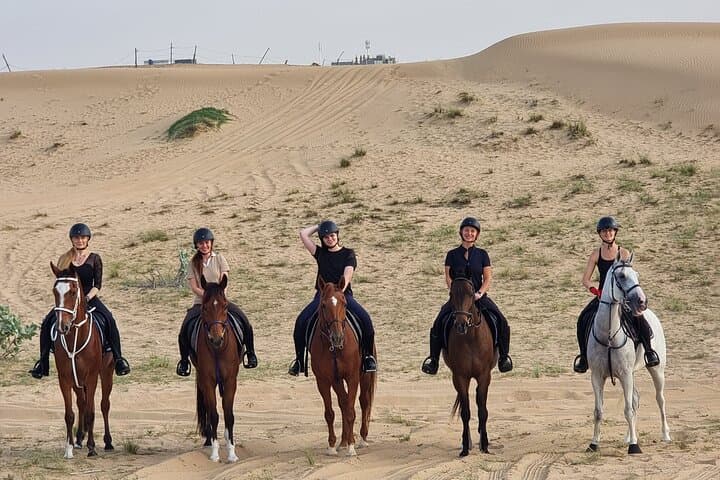 1-Hour Desert Horse Ride in Dubai on Authentic Arabian Horses photo 4