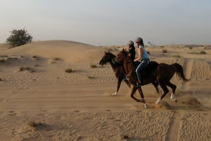 1-Hour Desert Horse Ride in Dubai on Authentic Arabian Horses photo 5