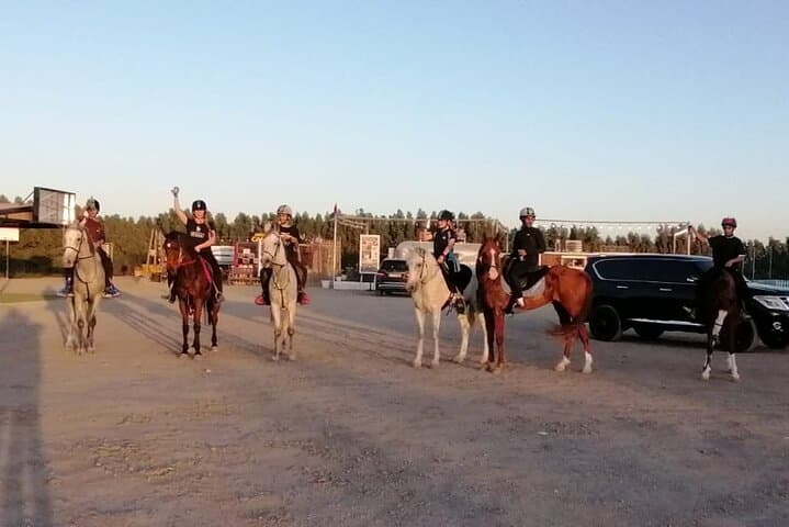 1-Hour Desert Horse Ride in Dubai on Authentic Arabian Horses photo 6
