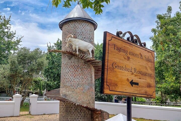 cape-town-wine-tour-3-vineyards-16-tastings-6-cheese-pairings photo 3