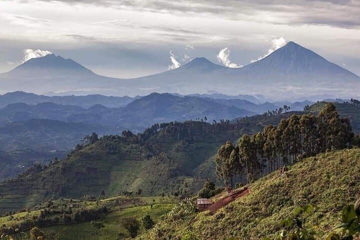 Mount Bisoke Day Hike — Volcanoes National Park Trek from Kigali photo 2