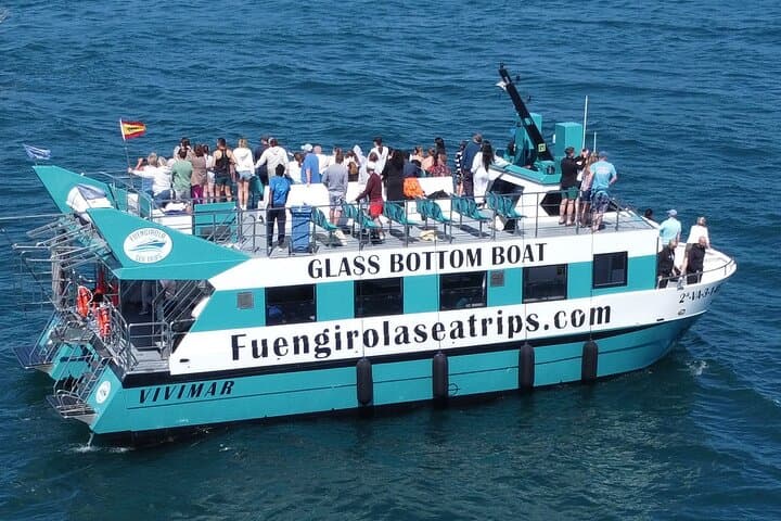Catamaran Dolphin Watching in Fuengirola — Costa del Sol Marine Safari photo 2