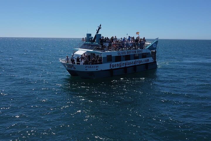 Catamaran Dolphin Watching in Fuengirola — Costa del Sol Marine Safari