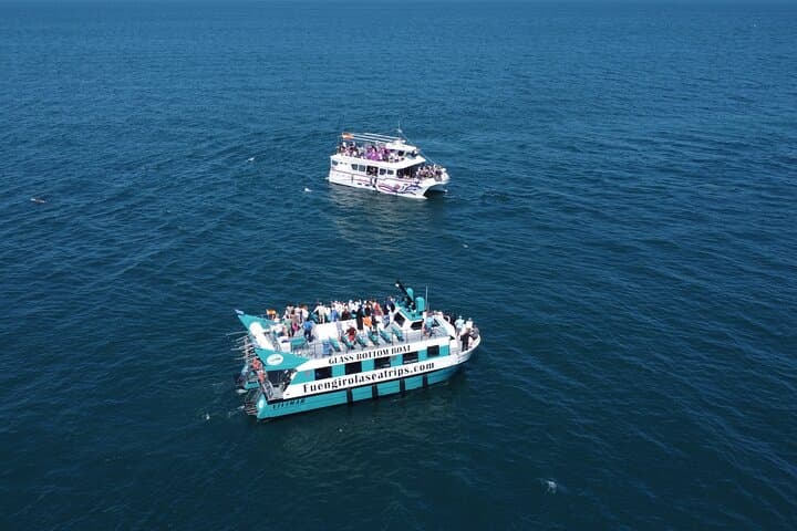 Catamaran Dolphin Watching in Fuengirola — Costa del Sol Marine Safari photo 5