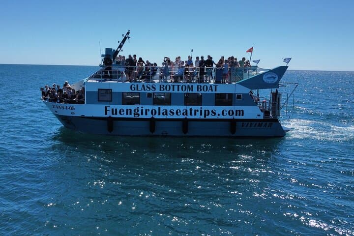 Catamaran Dolphin Watching in Fuengirola — Costa del Sol Marine Safari photo 3