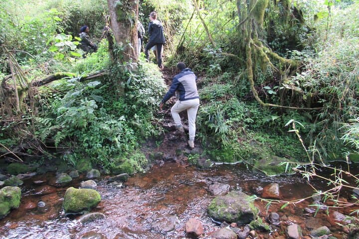 Mount Bisoke Day Hike — Volcanoes National Park Trek from Kigali photo 5