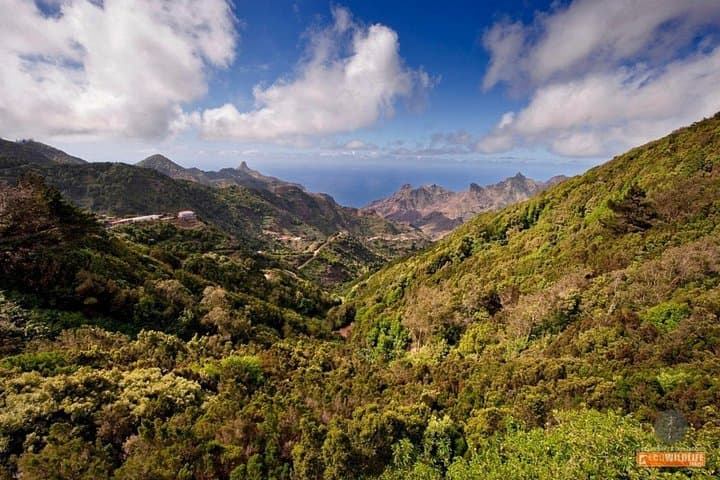 Columbus’ Footsteps on La Gomera: Garajonay, Silbo and San Sebastián Day Tour photo 1