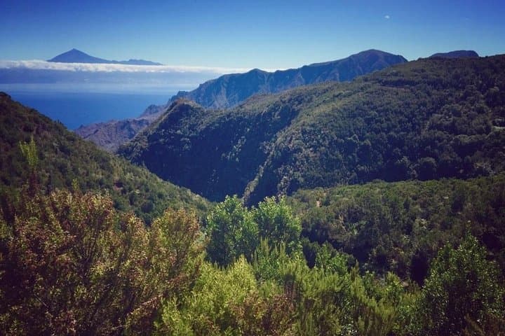 Columbus’ Footsteps on La Gomera: Garajonay, Silbo and San Sebastián Day Tour photo 3