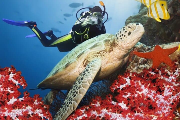 Kemer Scuba Diving: Two Guided Dives with BBQ Lunch & Roundtrip Transfer photo 3