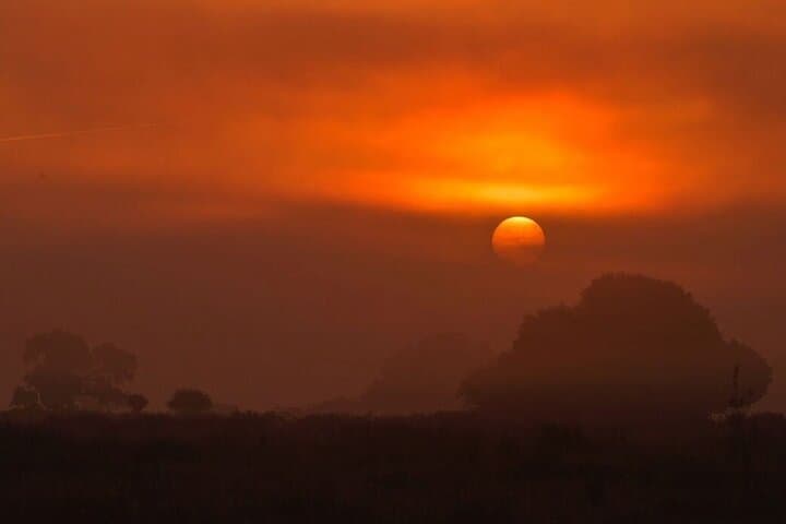 Inside Doñana: A 4x4 Safari to See the Iberian Lynx photo 3