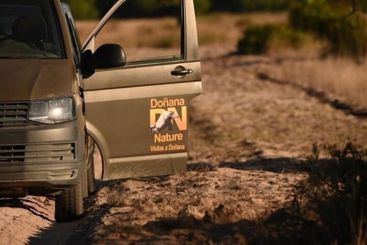 Inside Doñana: A 4x4 Safari to See the Iberian Lynx photo 4