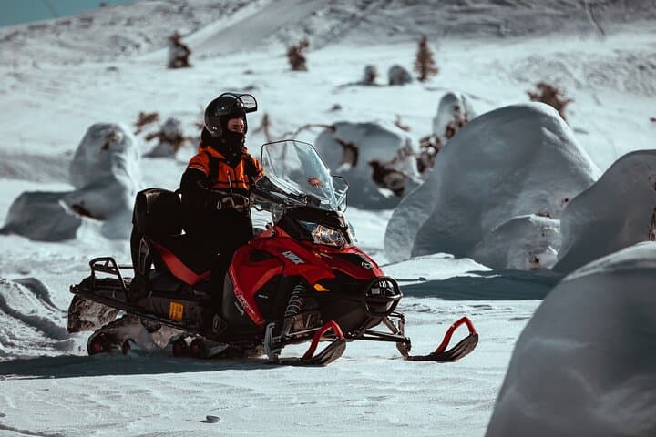 Full-Day Snowmobile Safari into Levi Wilderness — Backwoods Tracks & Lappish Open-Fire Lunch photo 4