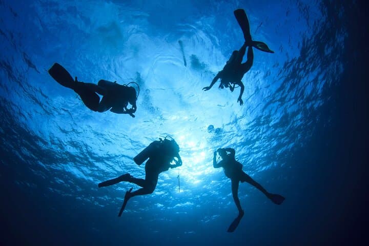 Antalya Scuba Diving from Konyaaltı: Mediterranean Reefs & Boat Day Trip photo 2