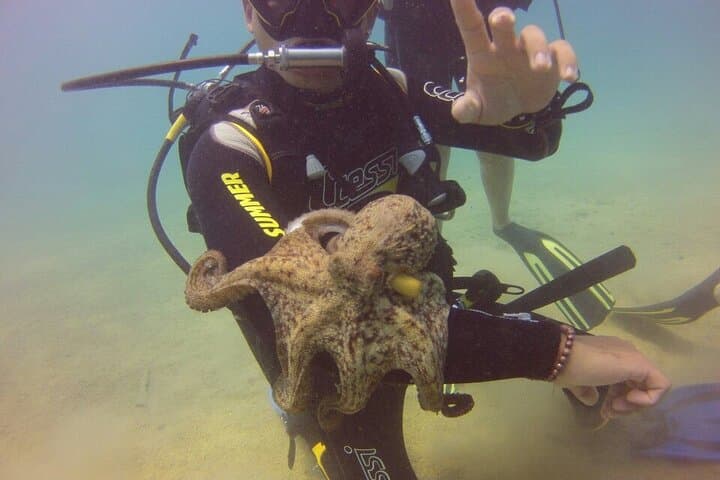 Antalya Scuba Diving from Konyaaltı: Mediterranean Reefs & Boat Day Trip photo 3