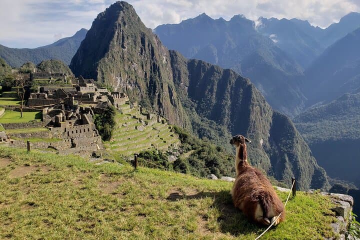 Luxury Vistadome Train to Machu Picchu: One-Day Private Tour from Cusco photo 5